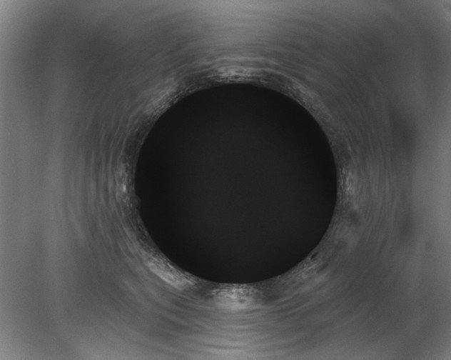 X0000078270567200611101110
