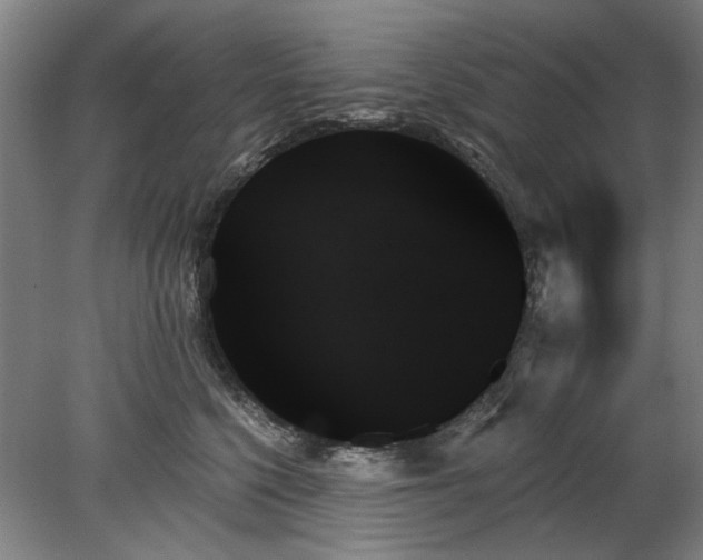 X0000078270568200611101110