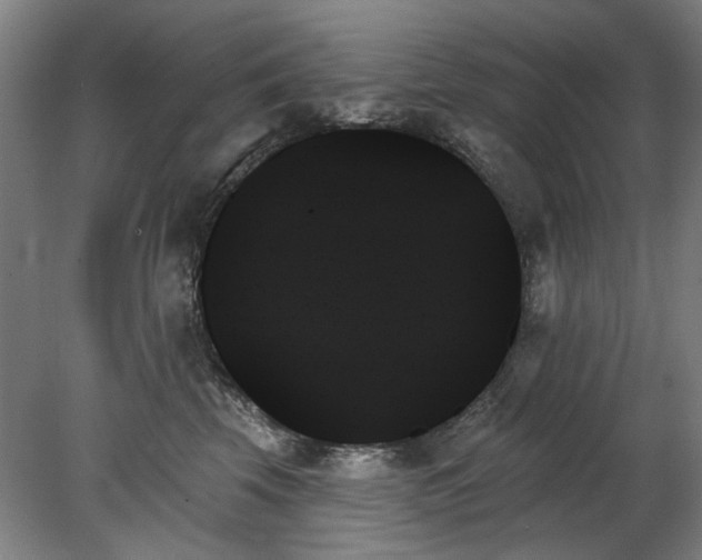 X0000078270569200611101110