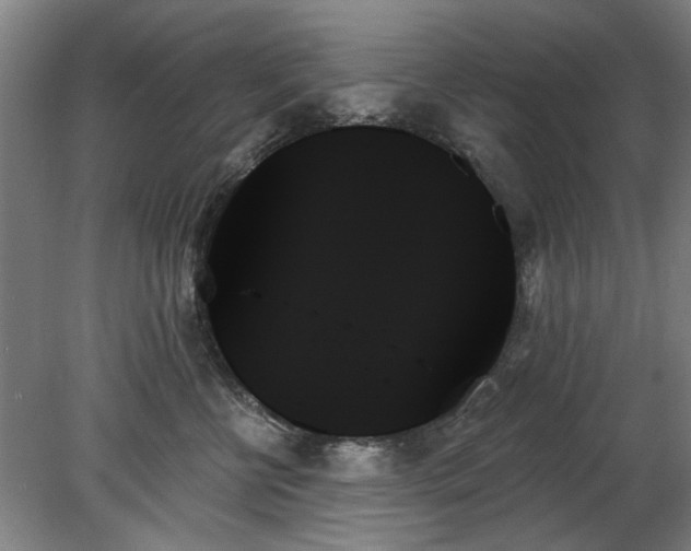 X0000078270570200611101110
