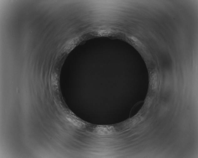X0000078270571200611101111