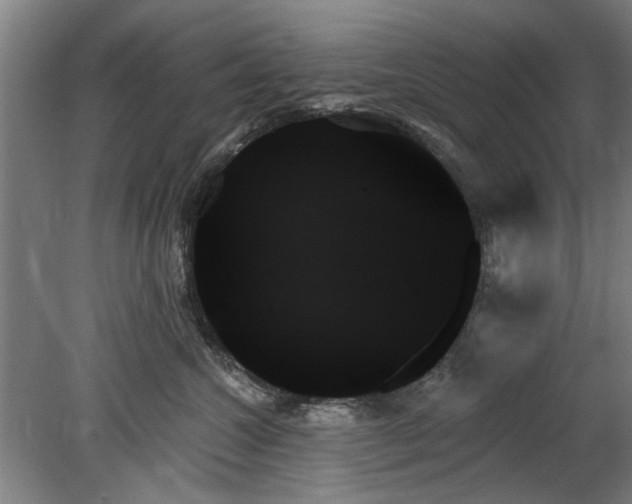 X0000078270572200611101111