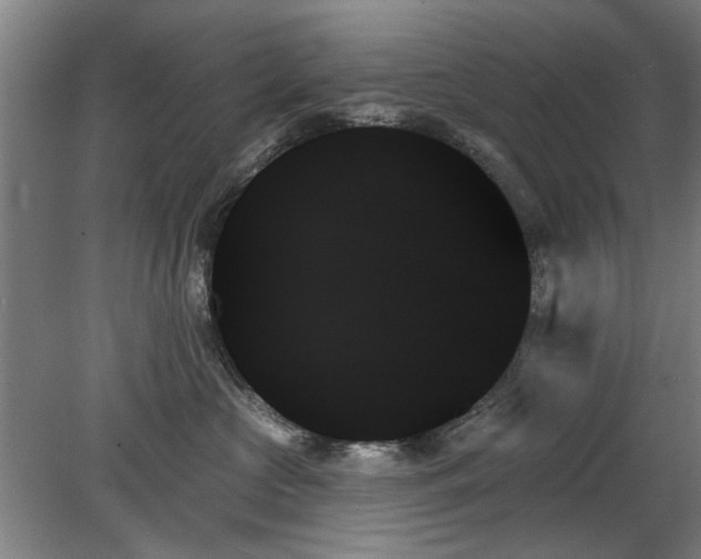 X0000078270573200611101111
