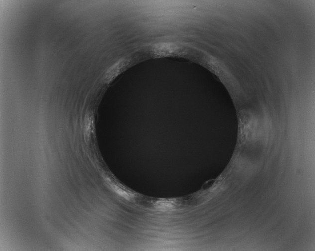 X0000078270574200611101111