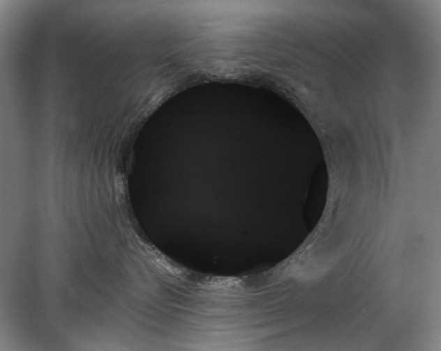 X0000078270576200611101111
