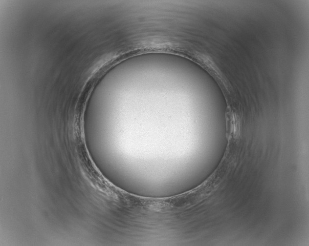 X0000078270579200611101110