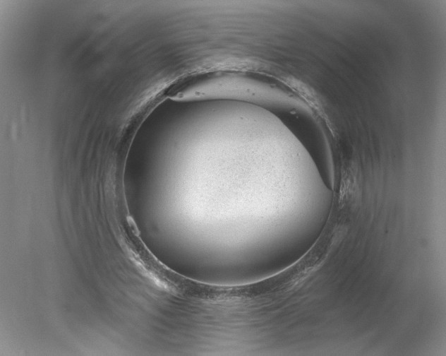 X0000078270581200611101110