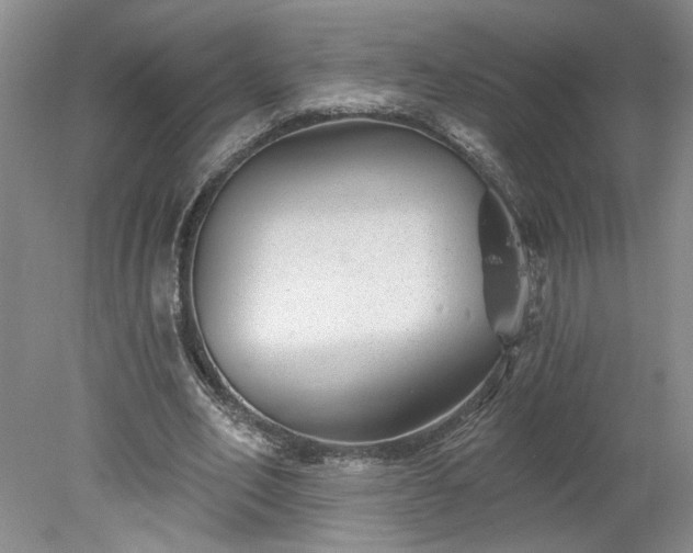 X0000078270582200611101110
