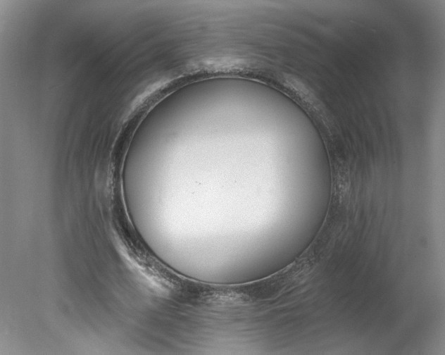 X0000078270583200611101110
