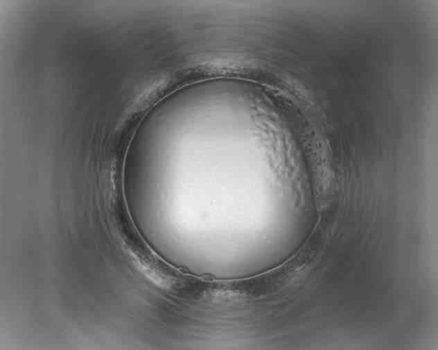 X0000078270590200611101110