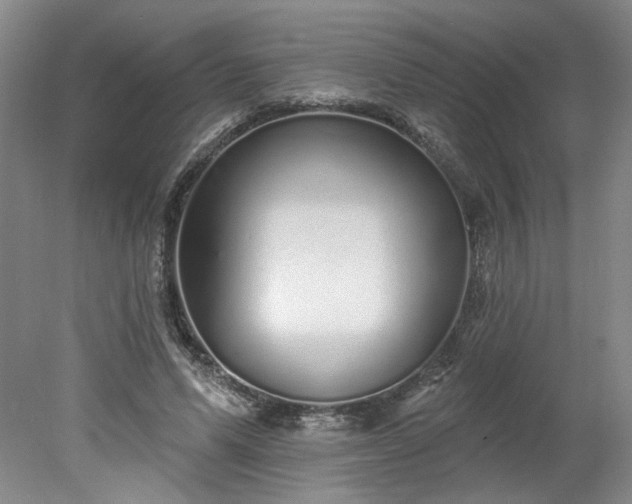 X0000078270591200611101110