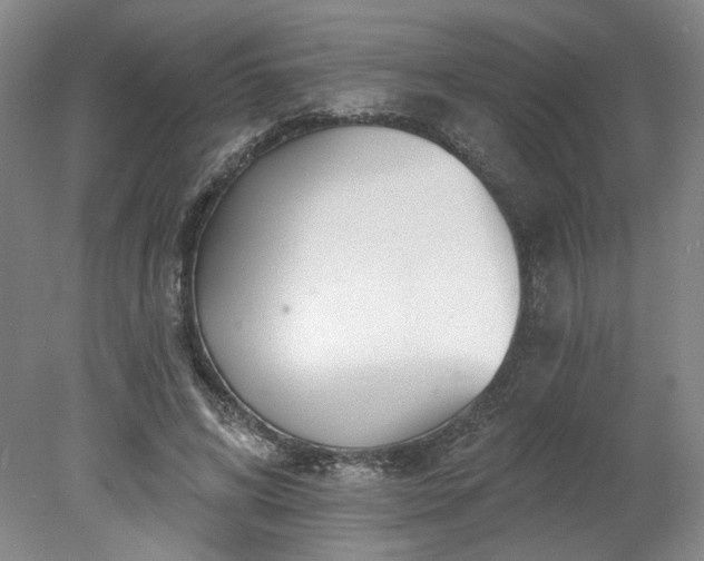 X0000078270592200611101110