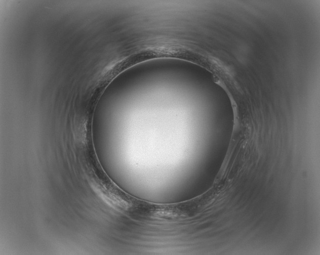 X0000078270596200611101109