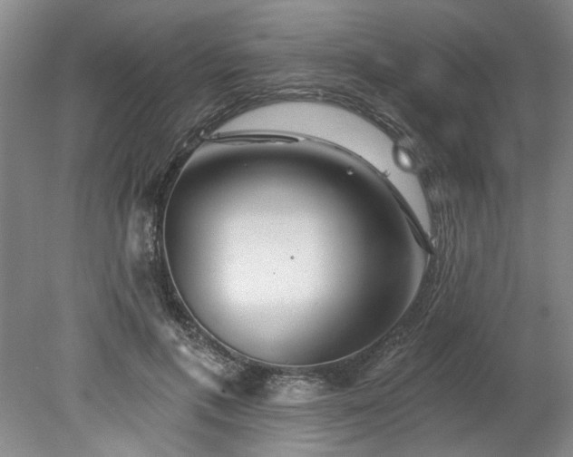X0000078270597200611101109