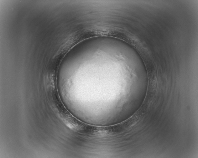 X0000078270598200611101109