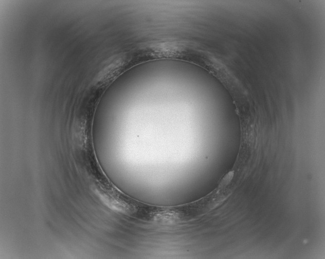 X0000078270599200611101109