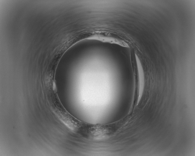 X0000078270601200611101109