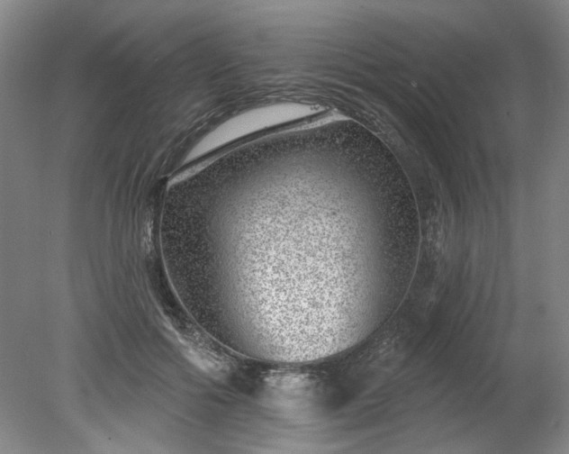 X0000078270602200611101109