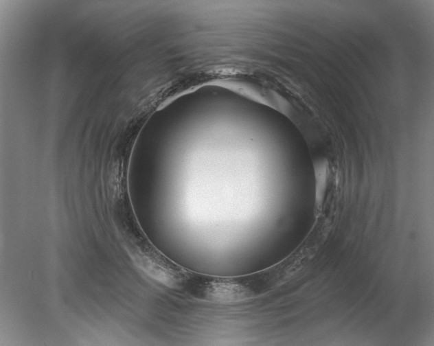 X0000078270605200611101109