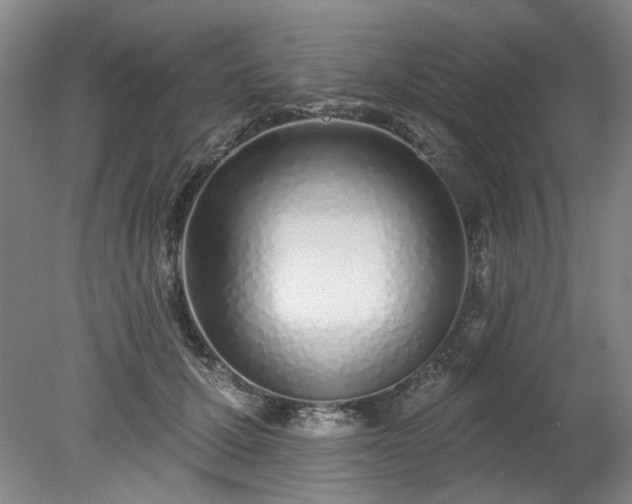 X0000078270607200611101109