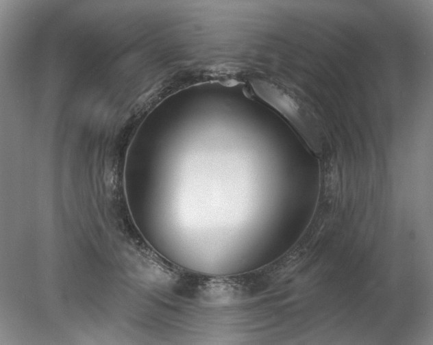 X0000078270608200611101109