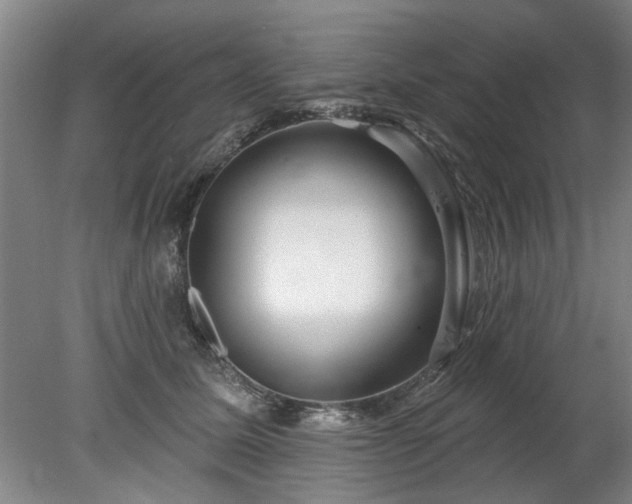 X0000078270611200611101109