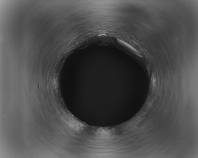 X0000078270613200611101109