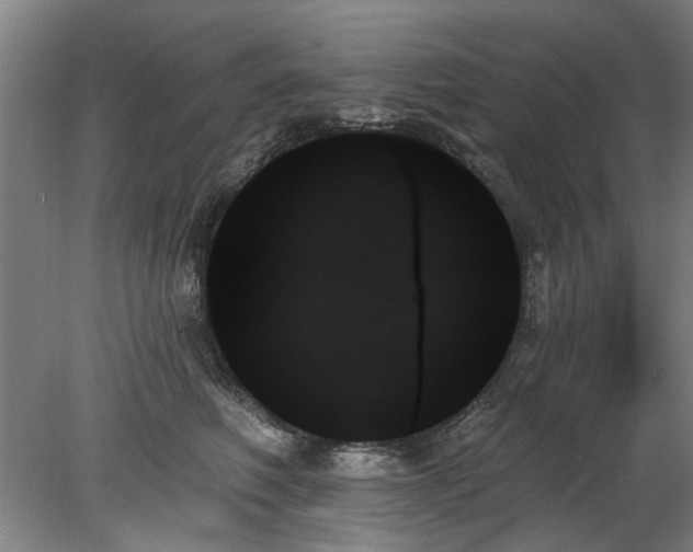 X0000078270614200611101109