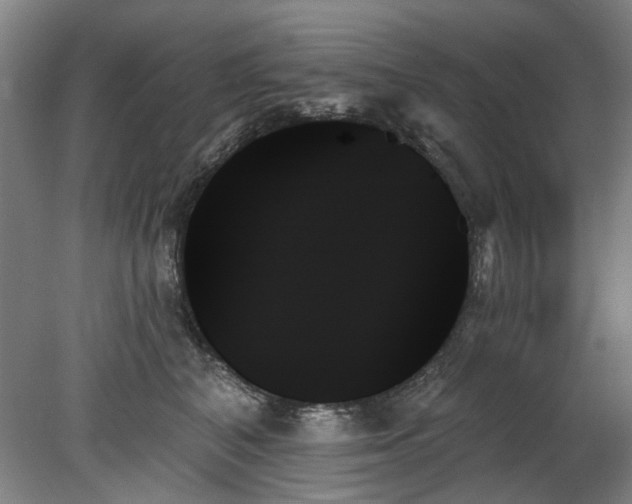 X0000078270616200611101109