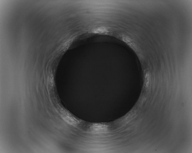 X0000078270617200611101109