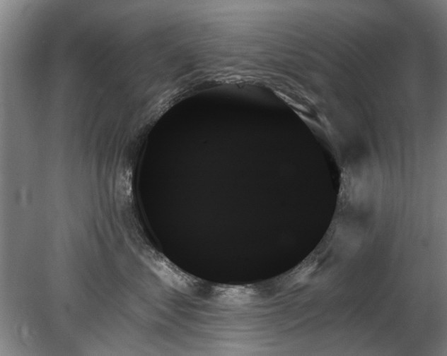 X0000078270621200611101109