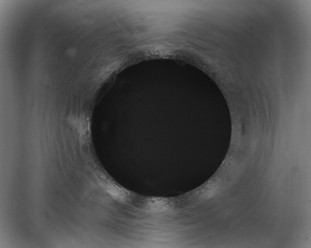 X0000078270624200611101109