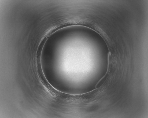 X0000078270626200611101108