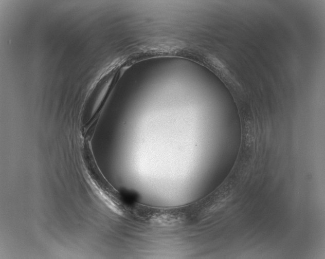 X0000078270634200611101108