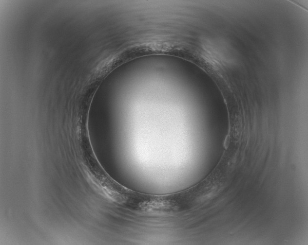 X0000078270639200611101108