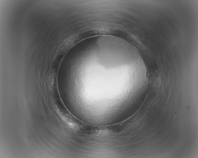 X0000078270645200611101109