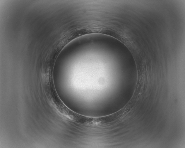 X0000078270647200611101109