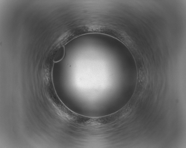 X0000078270648200611101109