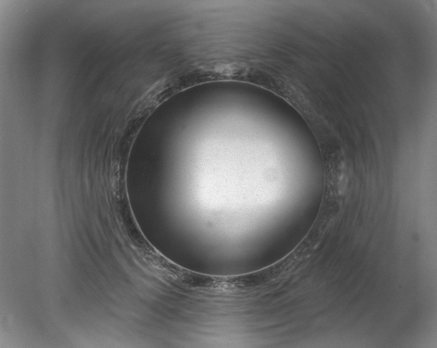 X0000078270656200611101109