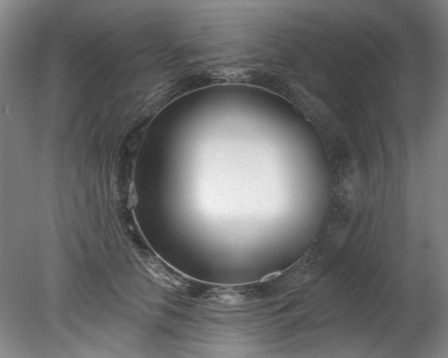 X0000078270658200611101109