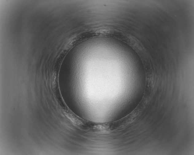 X0000078270660200611101109