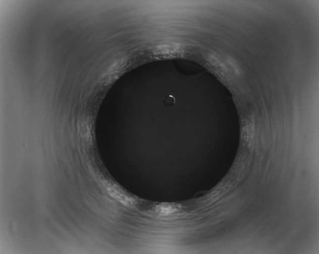 X0000078270662200611101109