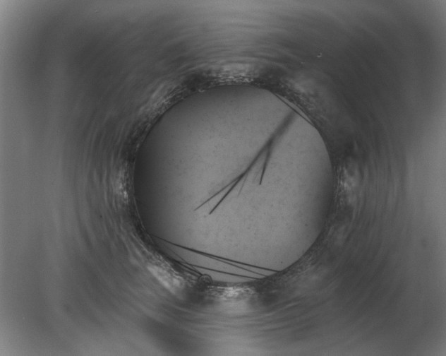 X0000078270663200611101109