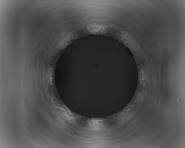 X0000078270664200611101109