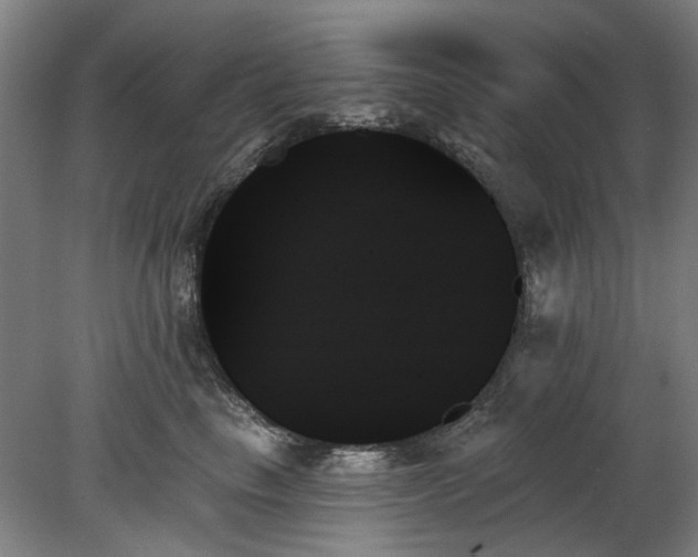 X0000078270665200611101109