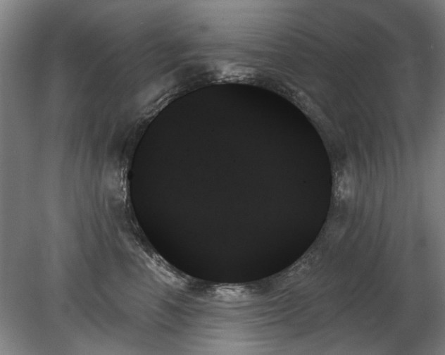 X0000078270666200611101109
