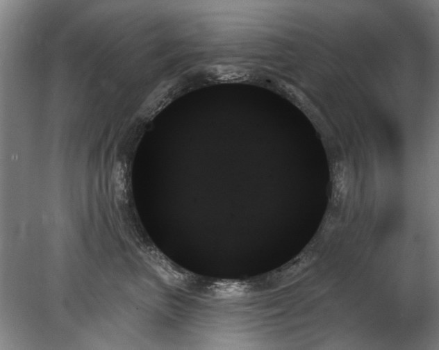 X0000078270667200611101109