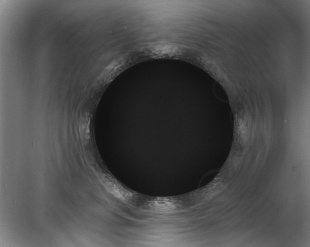 X0000078270668200611101109