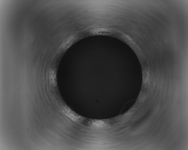 X0000078270669200611101109