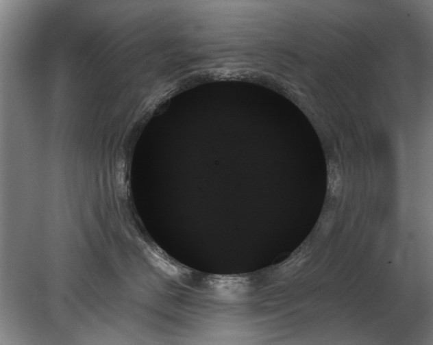 X0000078270670200611101109